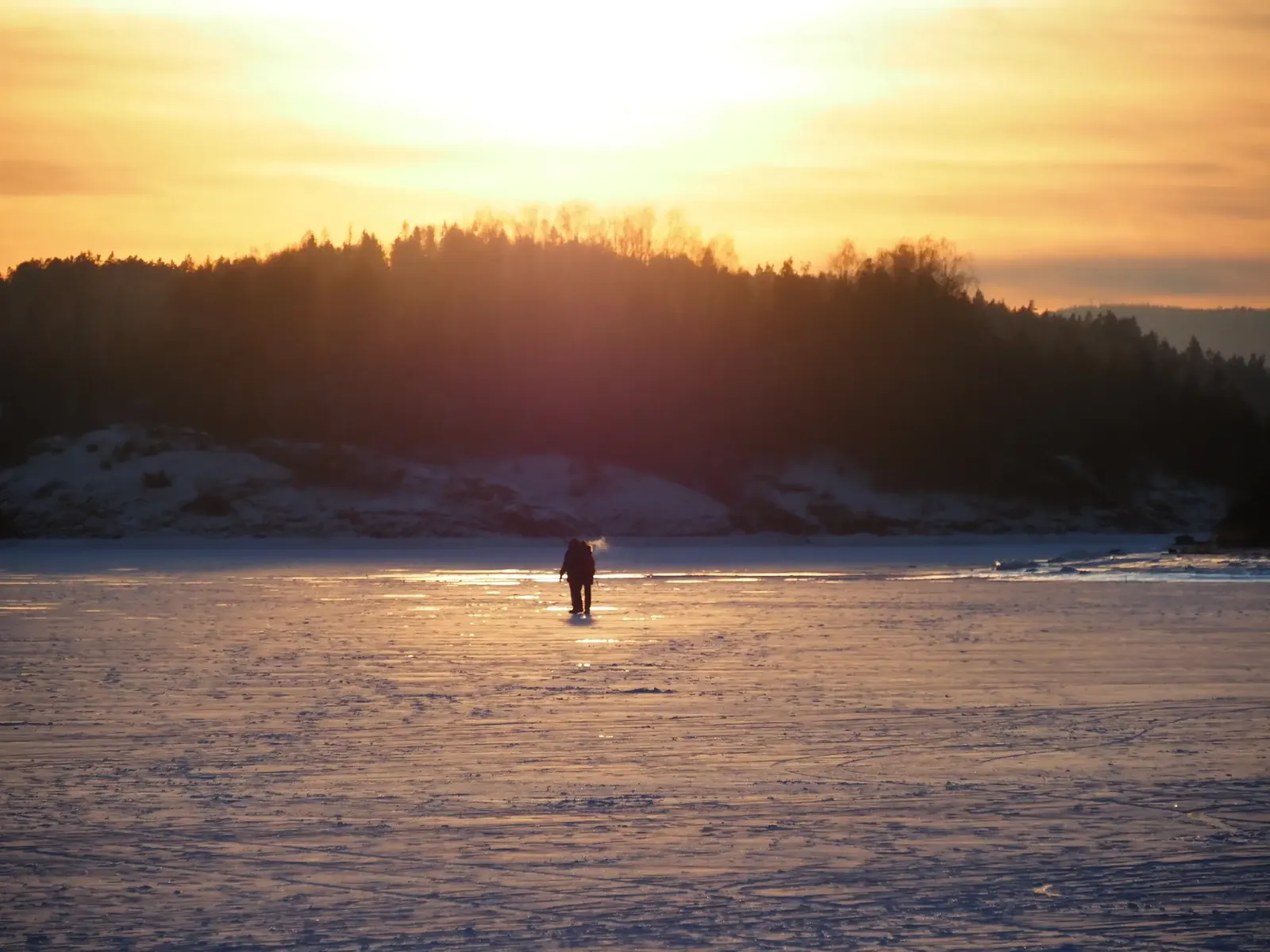 A lone person walking on a frozen fjord at sunset, low sun over a dark tree line.